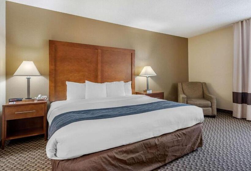 带大床的标准间, Comfort Inn South