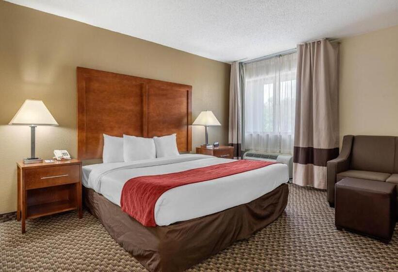 스위트 킹사이즈 침대, Comfort Inn South