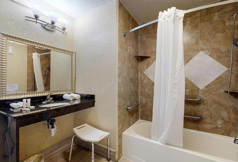 장애인을 위한 킹사이즈 침대 스탠다드 룸, Days Inn By Wyndham Orlando Downtown
