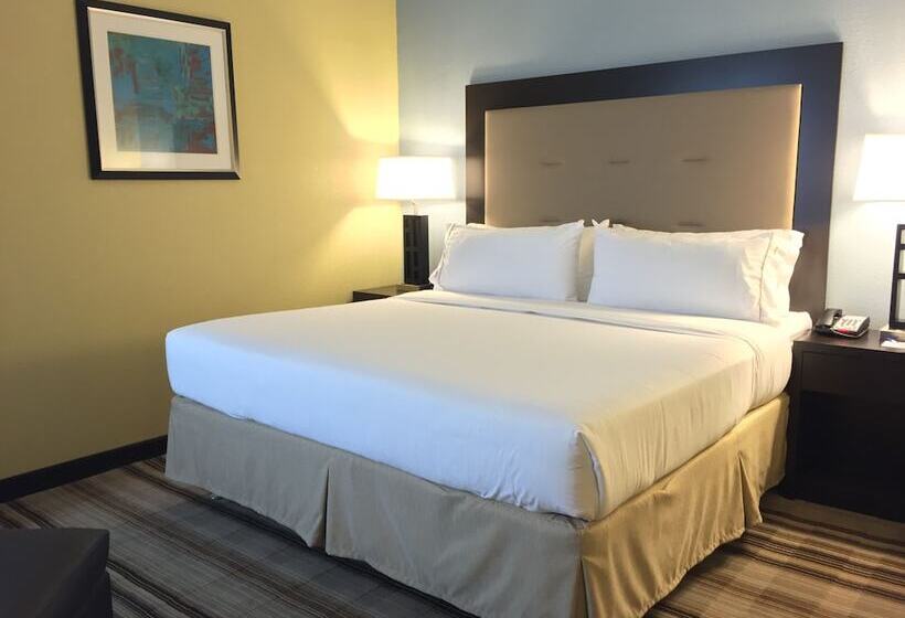 スイート, Holiday Inn Express Chicago Nw   Arlington Heights, An Ihg