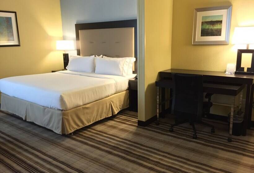 スイート, Holiday Inn Express Chicago Nw   Arlington Heights, An Ihg