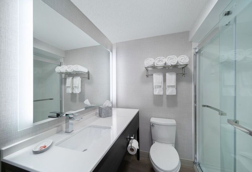 스위트 킹사이즈 침대, Holiday Inn Express South Burlington   Downtown, An Ihg