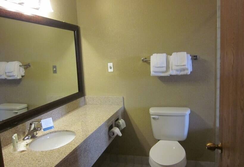 장애인을 위한 스탠다드 룸, Quality Inn