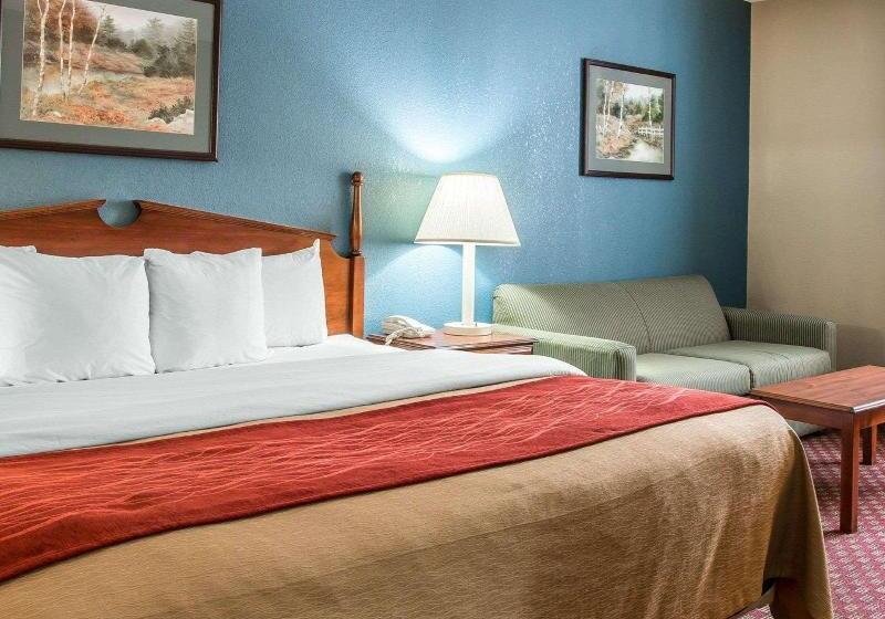 Люкс Кровать Кинг, Quality Inn