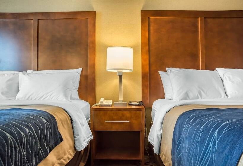 스탠다드 룸 더블 침대 2개, Comfort Inn The Pointe