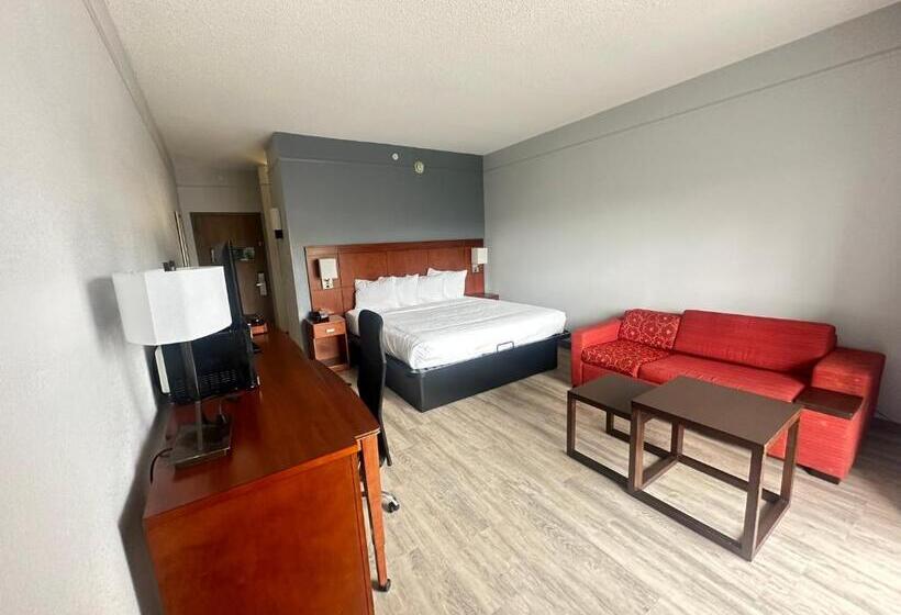 스탠다드 룸 킹사이즈 침대, Super 8 By Wyndham Dallas Love Field Airport