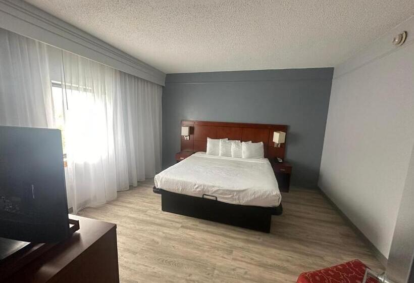 스탠다드 룸 킹사이즈 침대, Super 8 By Wyndham Dallas Love Field Airport