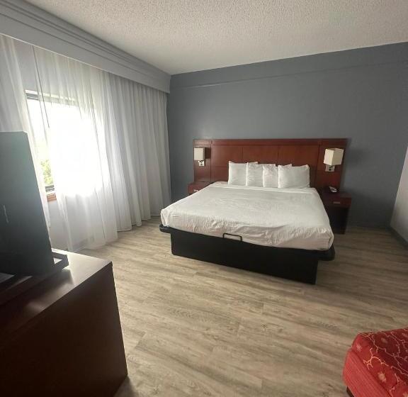 장애인을 위한 킹사이즈 침대 스탠다드 룸, Super 8 By Wyndham Dallas Love Field Airport