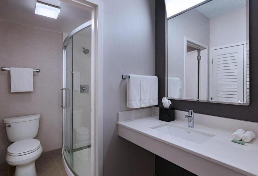 اتاق استاندارد با تخت بزرگ, Courtyard By Marriott Dallas Richardson At Spring Valley