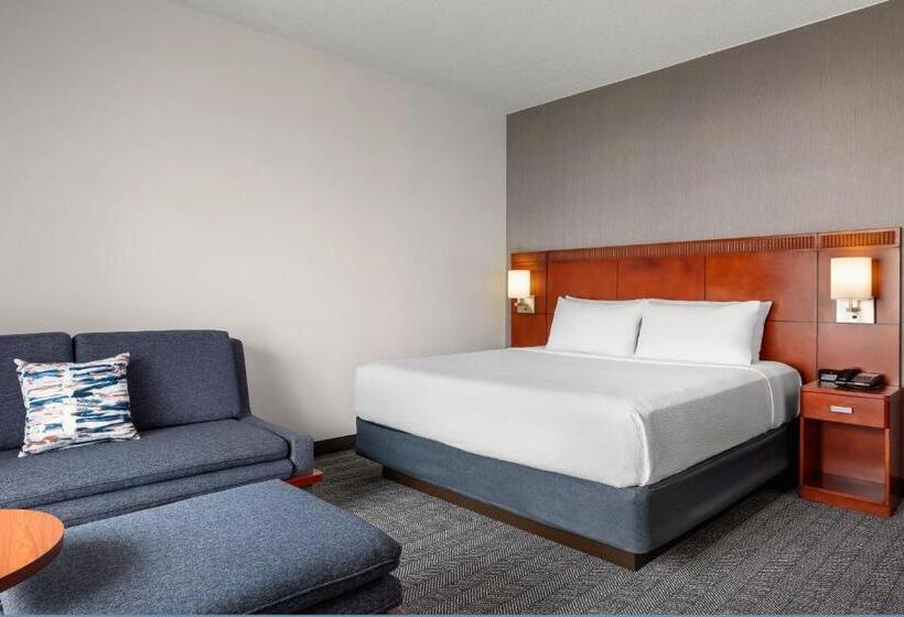 스탠다드 룸 킹사이즈 침대, Courtyard By Marriott Minneapolis St. Paul Airport