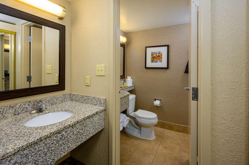 اتاق استاندارد برای معلولان, Doubletree By Hilton Raleigh Midtown, Nc