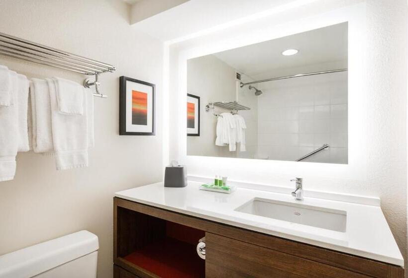 스탠다드 룸, Holiday Inn Timonium, An Ihg