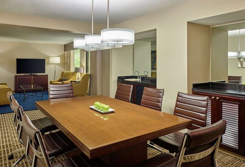 סוויטה, Doubletree By Hilton Houston Intercontinental Airport