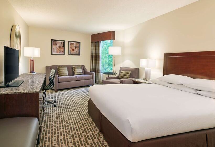 סוויטה, Doubletree By Hilton Houston Intercontinental Airport