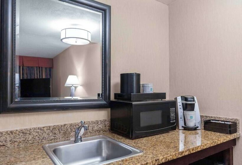 Люкс Адаптированный для Инвалидов, Embassy Suites By Hilton Kansas City Plaza