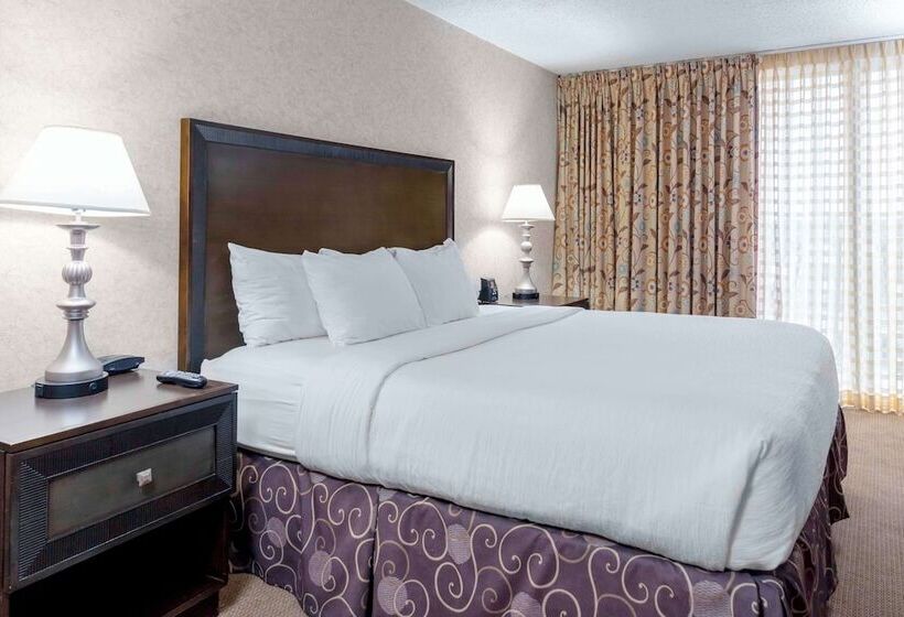 Люкс Адаптированный для Инвалидов, Embassy Suites By Hilton Kansas City Plaza