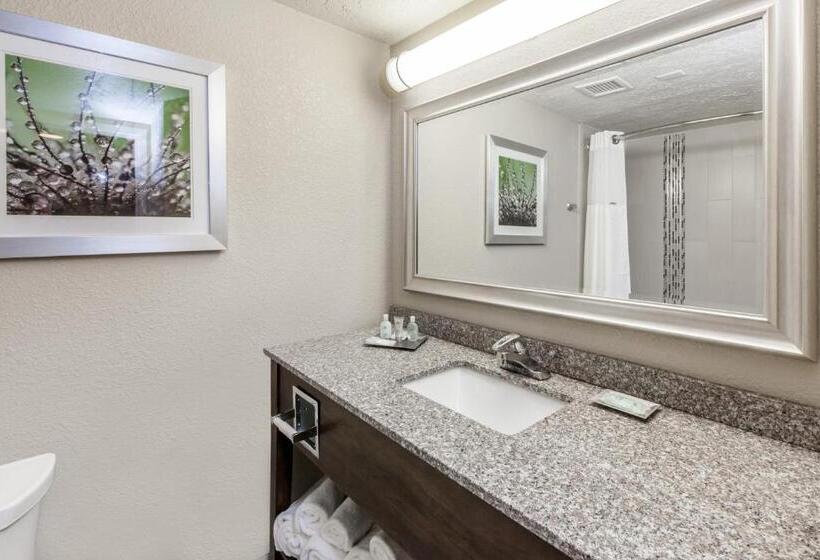 اتاق استاندارد با تخت بزرگ برای معلولان, Holiday Inn Hotel & Suites Oklahoma City North, An Ihg
