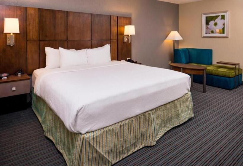 اتاق استاندارد با تخت بزرگ برای معلولان, Holiday Inn Hotel & Suites Oklahoma City North, An Ihg