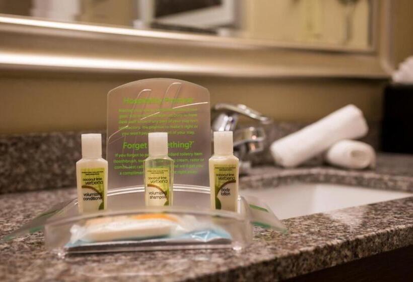 اتاق استاندارد با تخت بزرگ برای معلولان, Holiday Inn Hotel & Suites Oklahoma City North, An Ihg