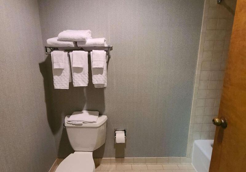 스탠다드 룸 킹사이즈 침대, Best Western Hickory