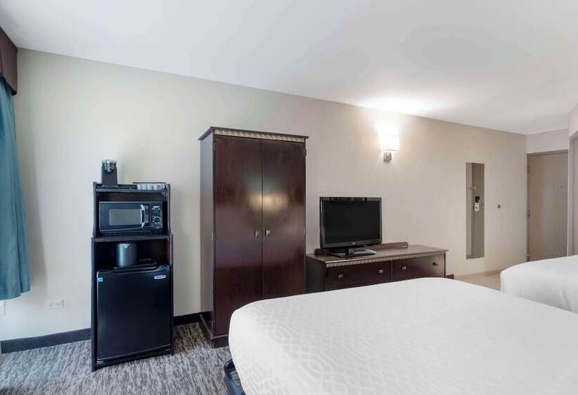 Quarto Standard 2 Camas Casal, Best Western Plus Chicagoland  Countryside