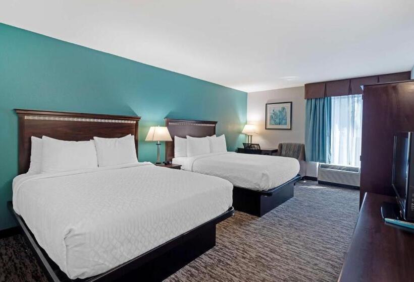 Quarto Standard 2 Camas Casal, Best Western Plus Chicagoland  Countryside