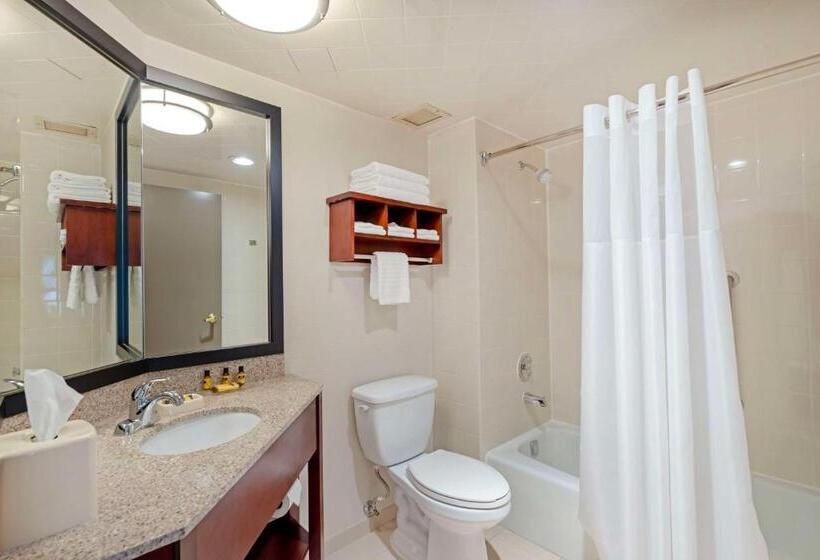 Quarto Standard Cama King, Best Western Plus Chicagoland  Countryside