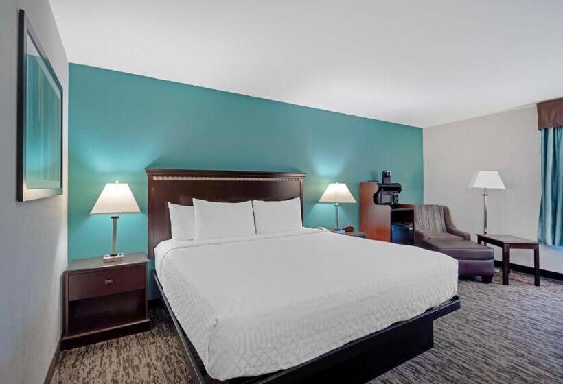 Quarto Standard Cama King, Best Western Plus Chicagoland  Countryside