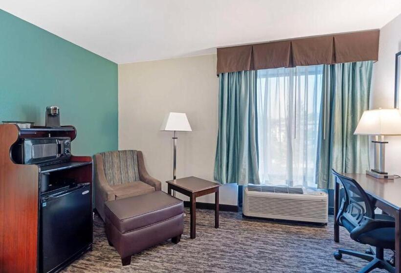 Quarto Standard Cama King para Deficientes, Best Western Plus Chicagoland  Countryside