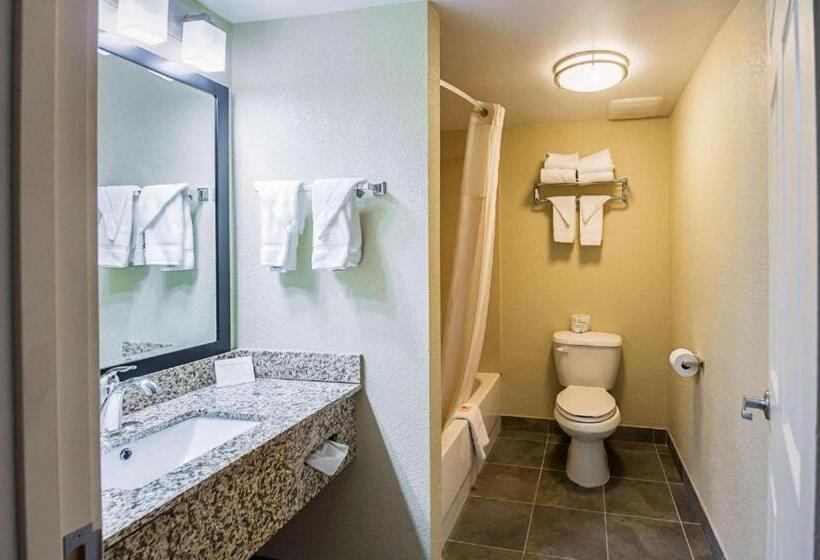 Стандартный Номер Кровать Кинг, Econo Lodge Hagerstown I 81