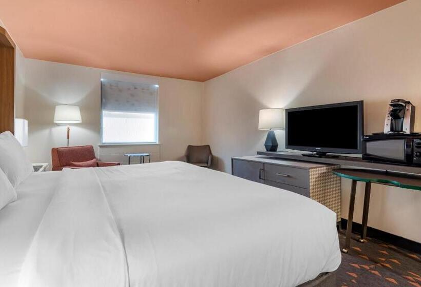 اتاق استاندارد با تخت بزرگ, Holiday Inn Bangor, An Ihg