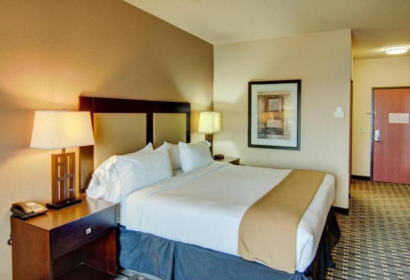 Стандартный Номер Кровать Кинг, Holiday Inn Express Hotel & Suites Paris, An Ihg