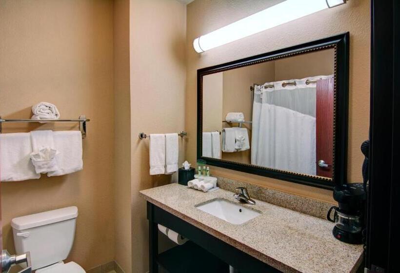 Люкс Кровать Кинг, Holiday Inn Express Hotel & Suites Paris, An Ihg