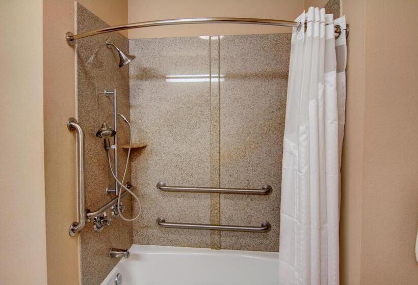 Номер Стандарт Кровать Кинг Адаптированный для Инвалидов, Holiday Inn Express Hotel & Suites Paris, An Ihg