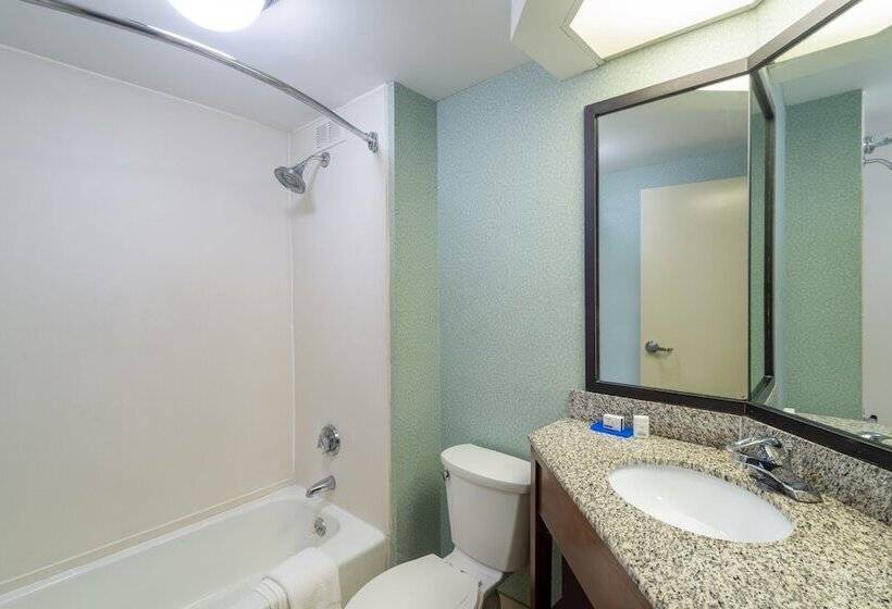 スタンダードルーム, Holiday Inn Express Forsyth, An Ihg