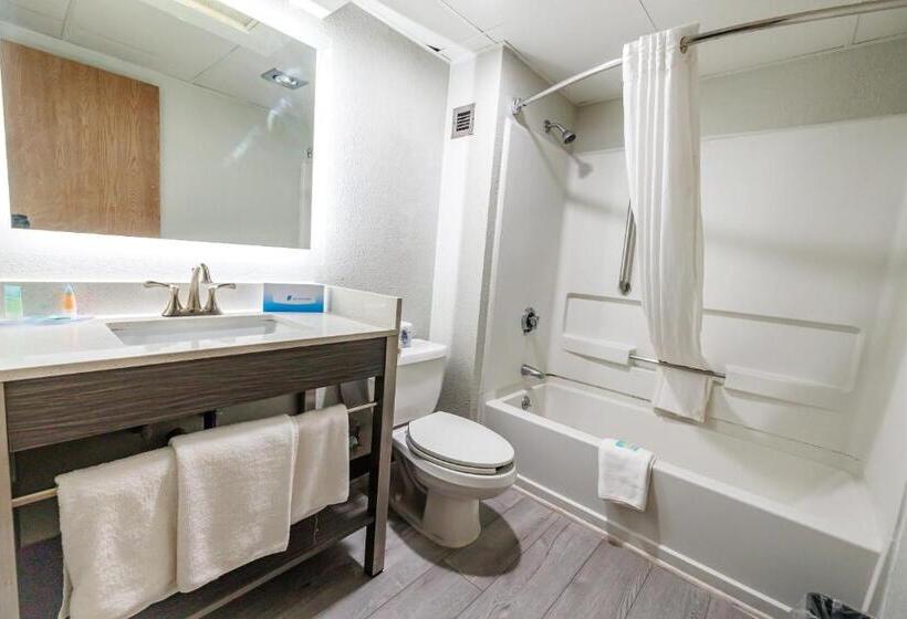 Стандартный Номер Кровать Кинг, New Victorian Inn & Suites Omaha