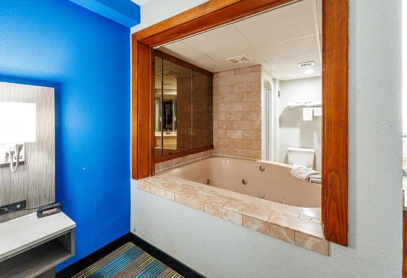 Номер Superior Одноместный, New Victorian Inn & Suites Omaha