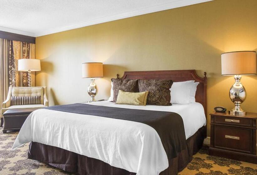 Habitació Deluxe Llit King, Omni Houston