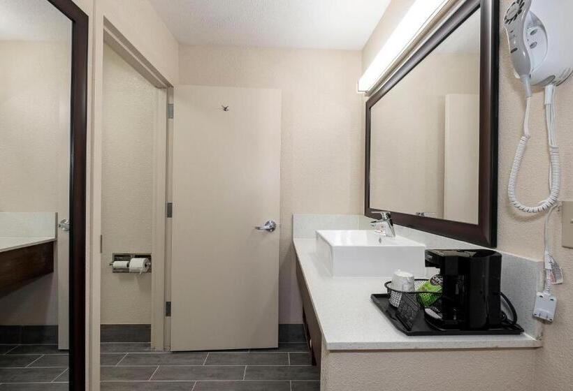 Quarto Superior, Red Roof Inn Freehold