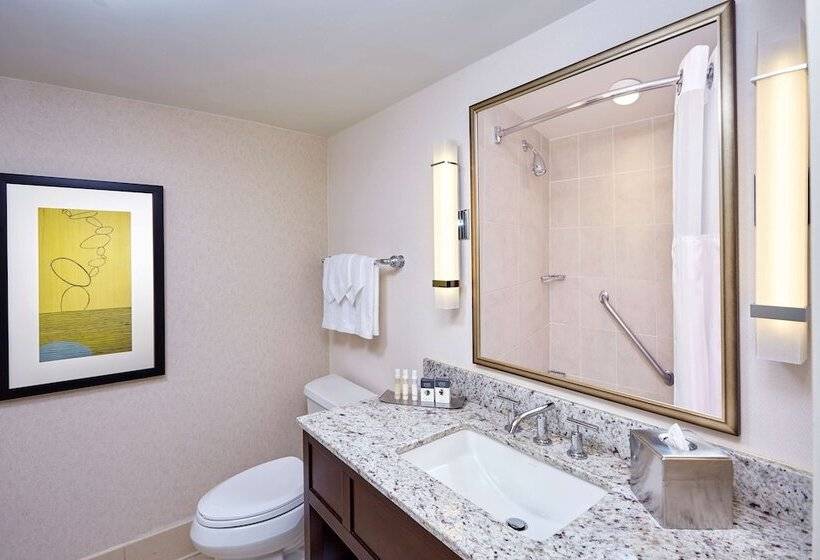 스탠다드 룸 더블 침대 2개, Doubletree By Hilton Washington Dc   Crystal City