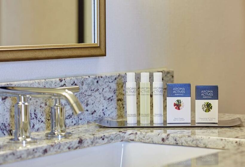 주니어 스위트, Doubletree By Hilton Washington Dc   Crystal City