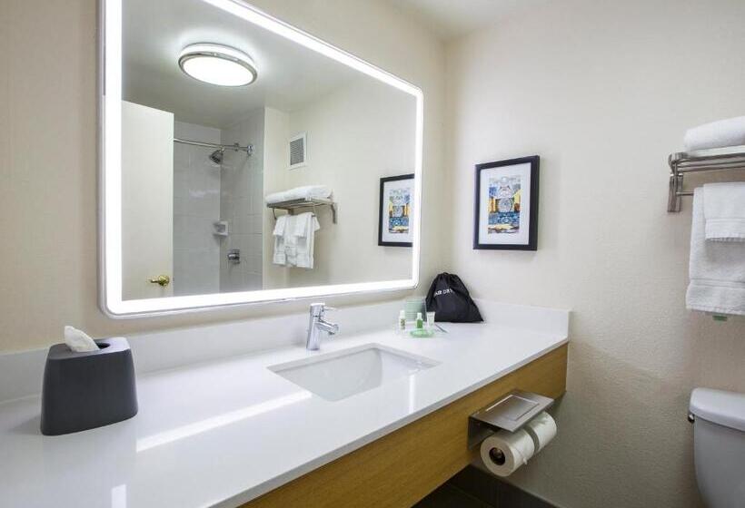 Номер Стандарт 2 Двуспальные Кровати, Holiday Inn Chicago North Shore, An Ihg