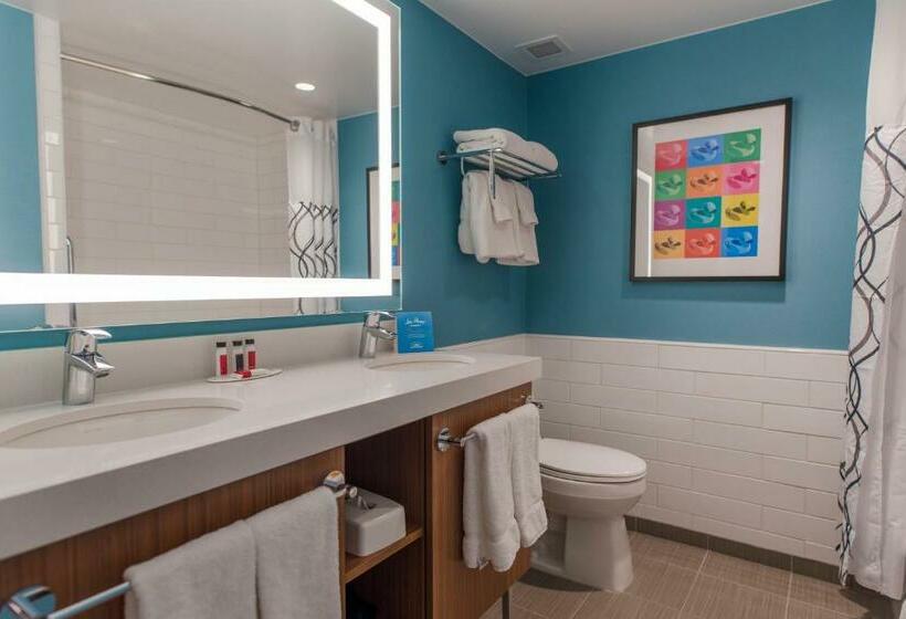 اتاق استاندارد با چشم‌انداز شهر, Howard Johnson By Wyndham Anaheim Hotel & Water Playground