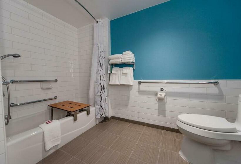 اتاق استاندارد با تخت بزرگ برای معلولان, Howard Johnson By Wyndham Anaheim Hotel & Water Playground