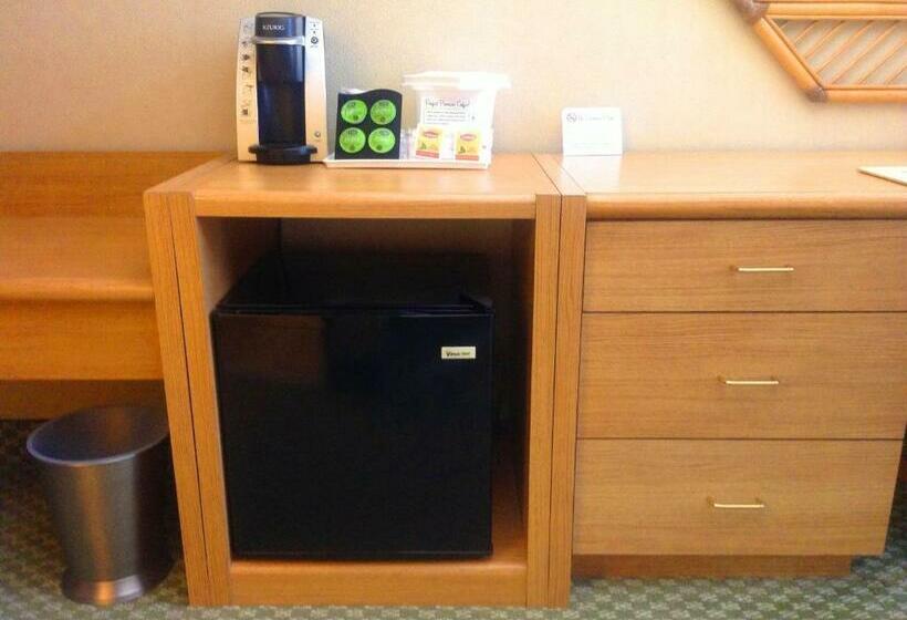 اتاق لوکس با تخت بزرگ, Howard Johnson By Wyndham Anaheim Hotel & Water Playground
