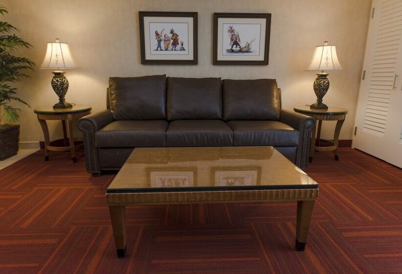 سوییت, Howard Johnson By Wyndham Anaheim Hotel & Water Playground