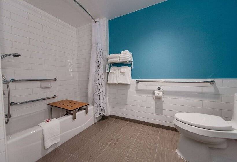 اتاق استاندارد برای معلولان, Howard Johnson By Wyndham Anaheim Hotel & Water Playground