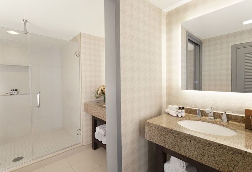 スイート, Hyatt Regency Boston/cambridge