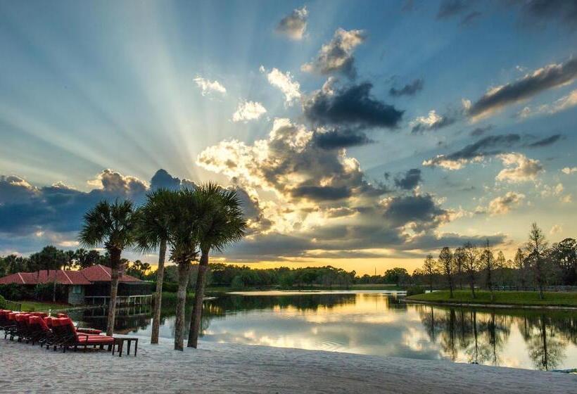 اتاق استاندارد با تخت بزرگ, Hyatt Regency Grand Cypress Resort