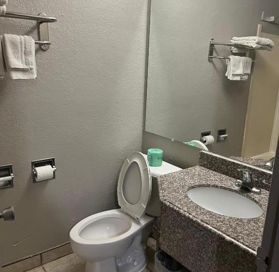 חדר סטנדרט עם מיטת קינג, Mid Towne Inn & Suites